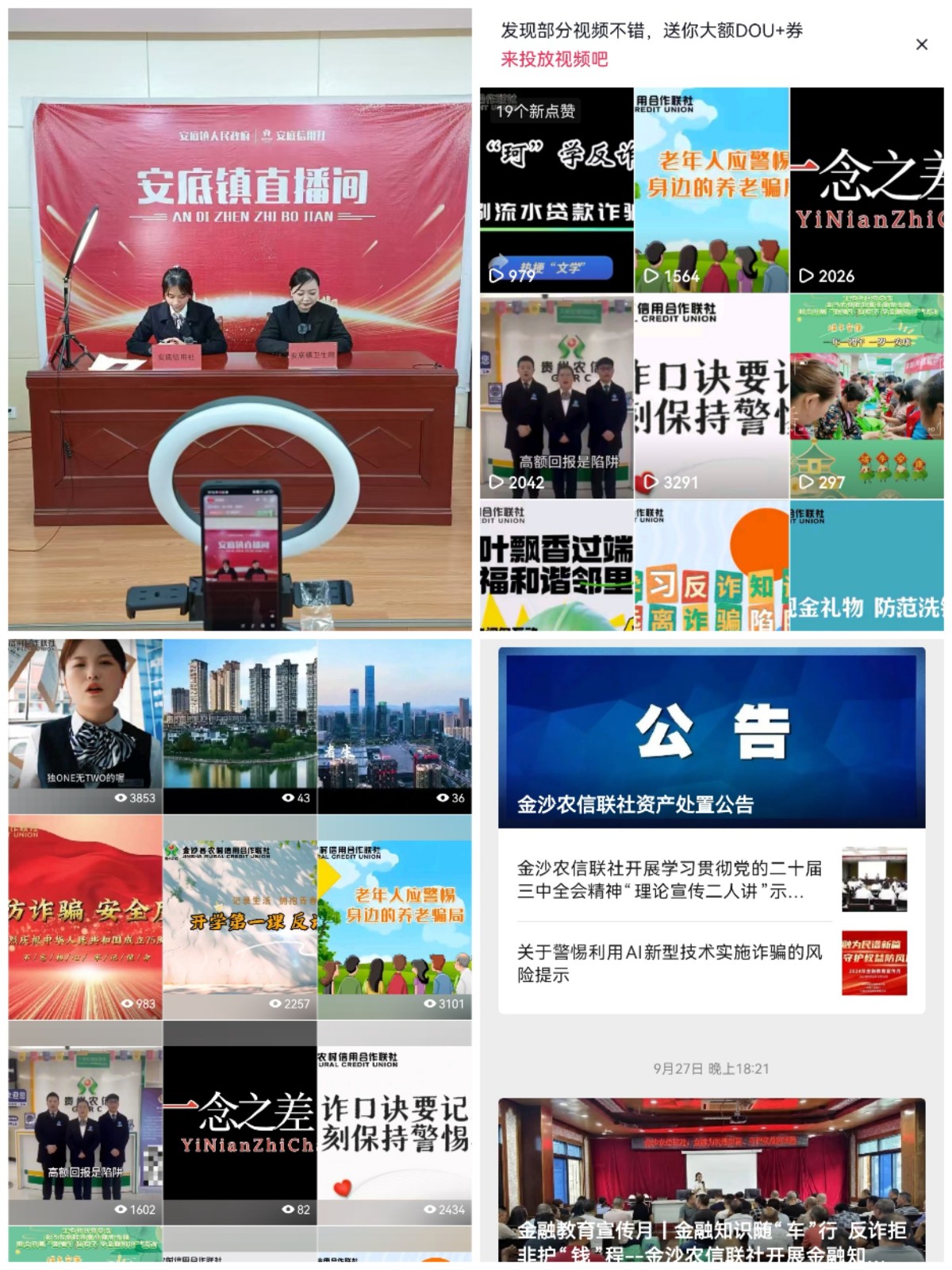 Collage_20241203_152833(1).jpg